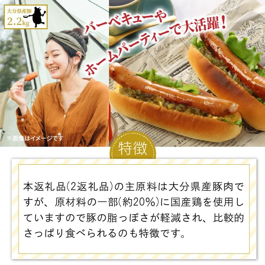 【ご好評につき2～3ヶ月待ち】食べ応え倍増!粗挽きウインナー＆フランク2kg ソーセージ フランク 国産 大分県産豚 豚肉 鶏肉 旨味 おかず おつまみ バーベキュー アウトドア キャンプ パーティー_1498R