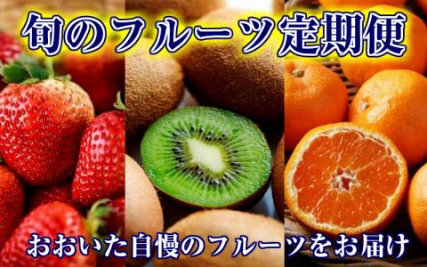 おおいた旬のフルーツ11月から定期便/2ヶ月毎計3回発送_1608R