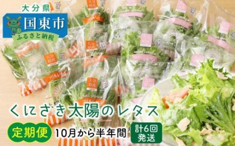 くにさき太陽のレタス10月から半年間定期便/計6回発送_1598R