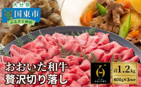 おおいた和牛/贅沢切り落し1.2kg＿1179R