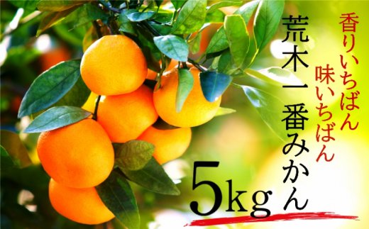 【先行予約・年明け配送】令和8年1月から出荷開始/荒木一番みかん約5kg _1271R-2