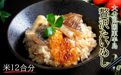 国東鯛めしの素/お米12合分 _1316R