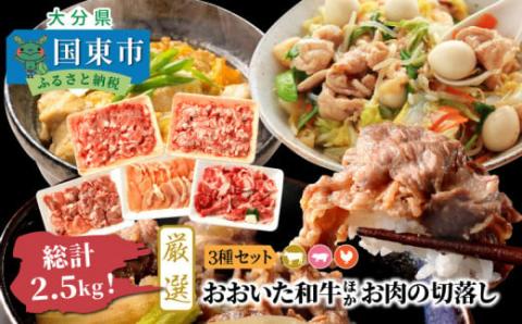 【A4～A5等級】総計2.5kg!おおいた和牛ほか厳選お肉の切落し3種セット_1476R