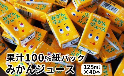 【数量限定】 果汁100％紙パック みかんジュース125ml×40本 オレンジジュース_1521R