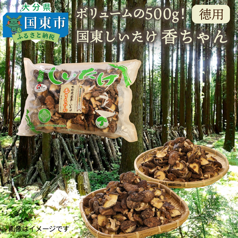 ボリュームの500g！国東しいたけ香ちゃん （徳用）_1735R