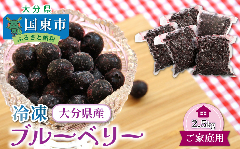 【ご家庭用】冷凍ブルーベリー2.5kg（大分県産）_1894R