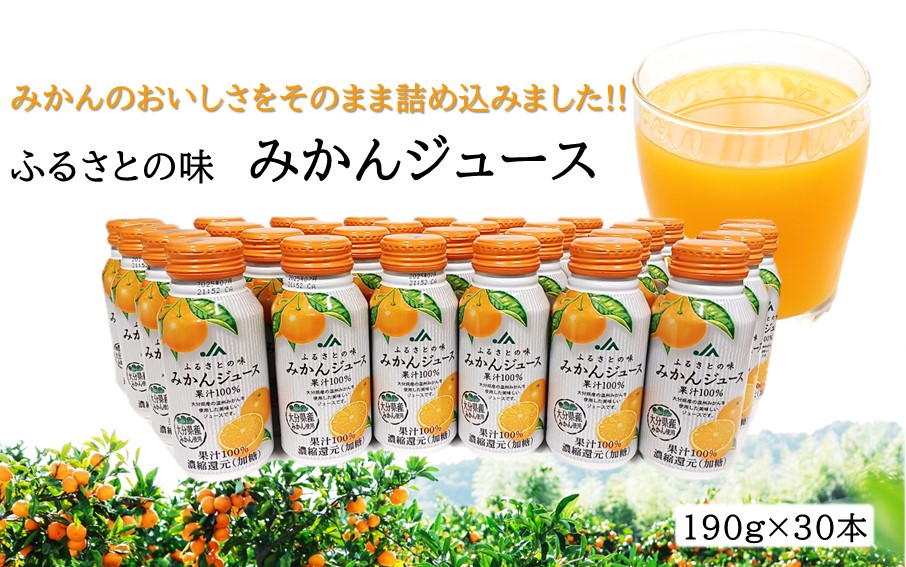 ふるさとの味 みかんジュース（190g×30本）_2403R