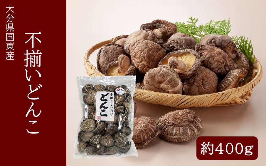 【訳あり】国東産不揃いしいたけ約400g（どんこ）_2634R-1