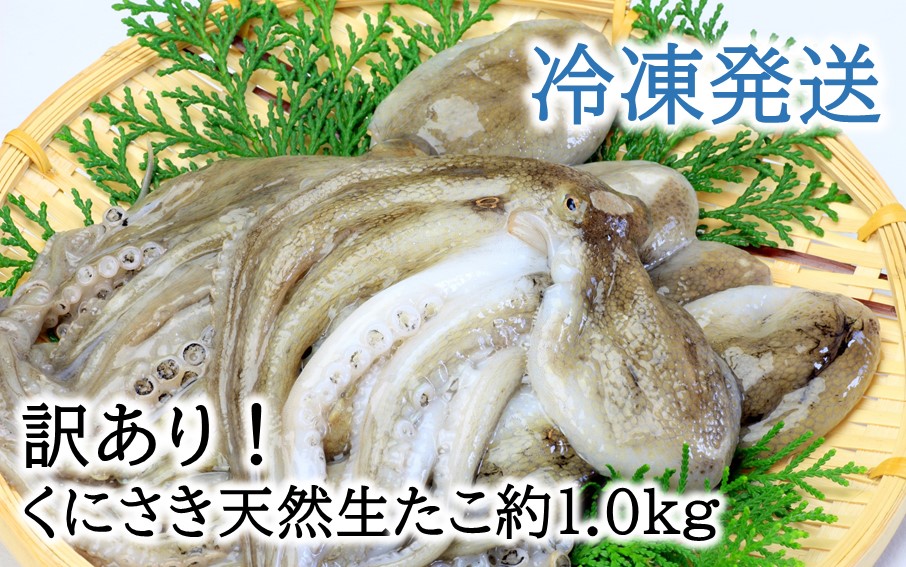 【訳あり】くにさき天然冷凍生たこ約1.0kg_2653R-1