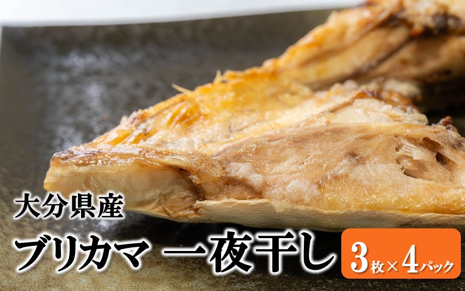 大分県産ブリカマ 一夜干し 3枚×4パック_2661R-2