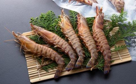 鮮度抜群！活き〆冷凍車海老（1.17kg）_29004C