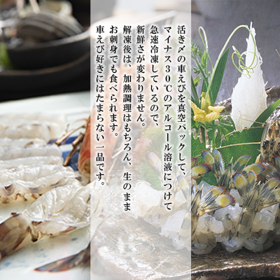 生食用凍眠凍結姫島車えび(養殖)約200ｇ(6尾～10尾)×8パック　A4
