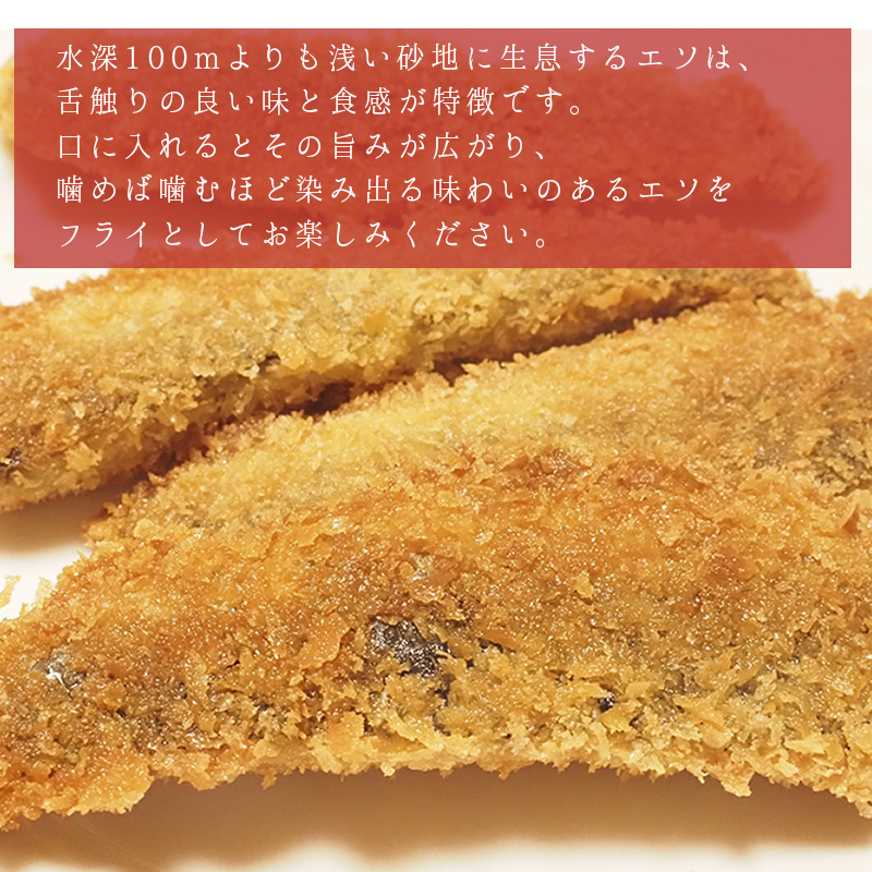 エソフライとタイフライ(各2パック)　B9-S