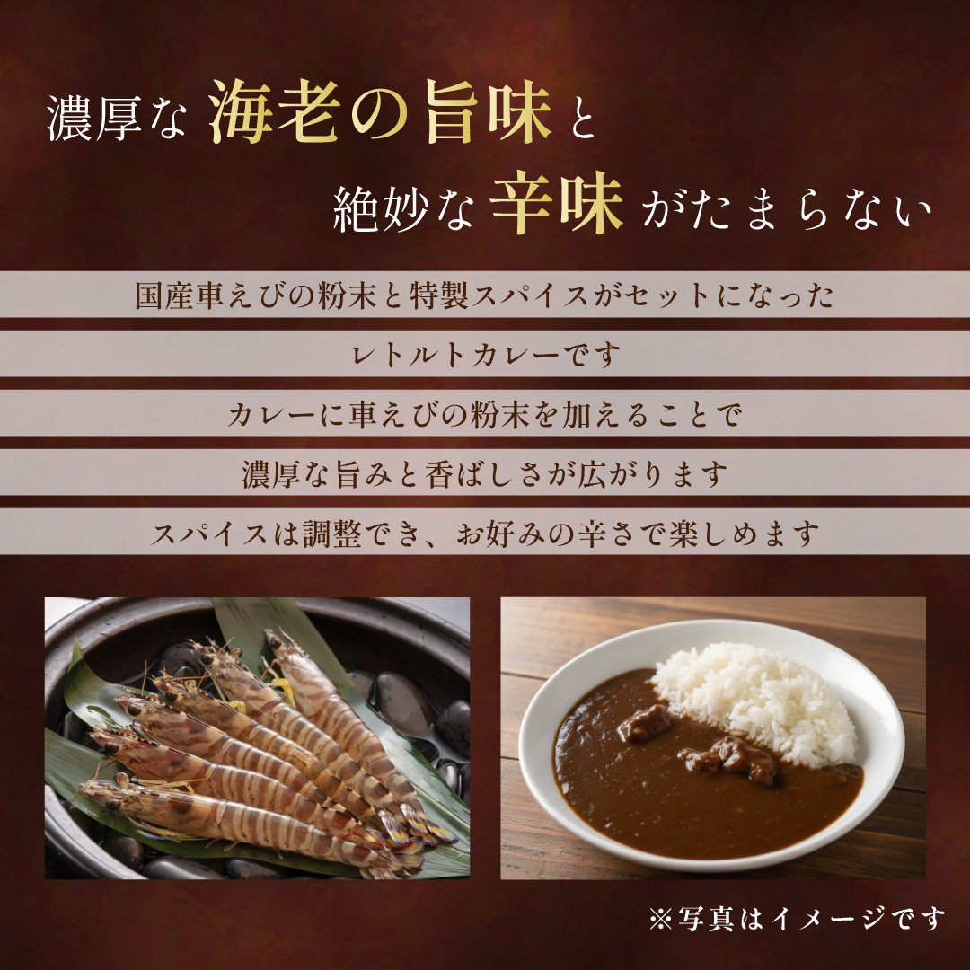 旨辛濃厚 車えびカレー 1食分 車えび粉末と特撰スパイス入り C22
