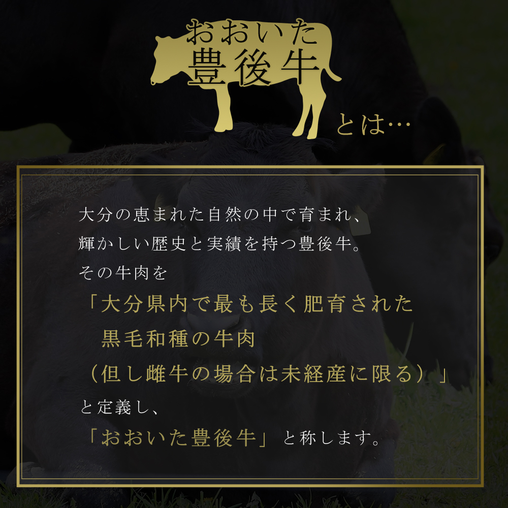 訳あり！【A4～A5】豊後牛焼肉切り落とし(肩ロース・バラ) 500g　D23