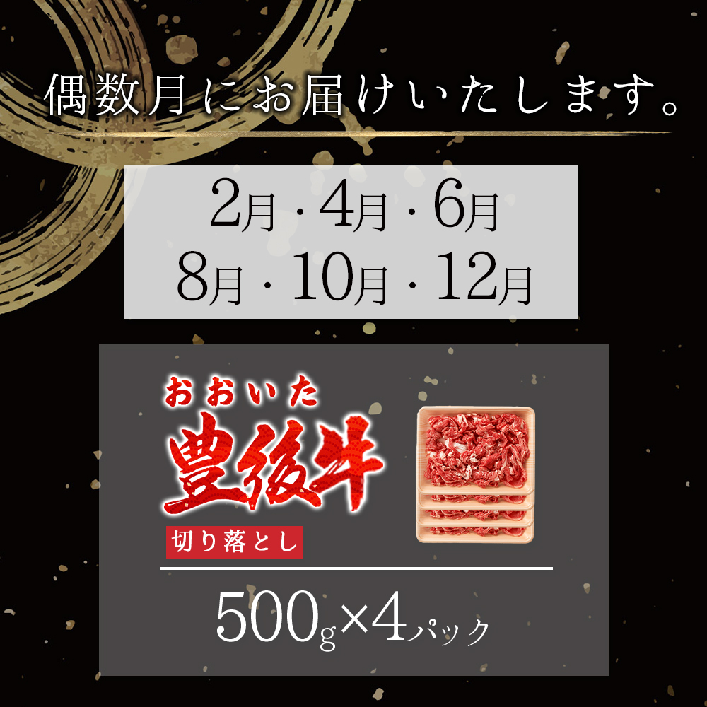 【定期便】偶数月に届く！おおいた豊後牛 切り落とし2kg(500g×4パック)×6回　D27-S