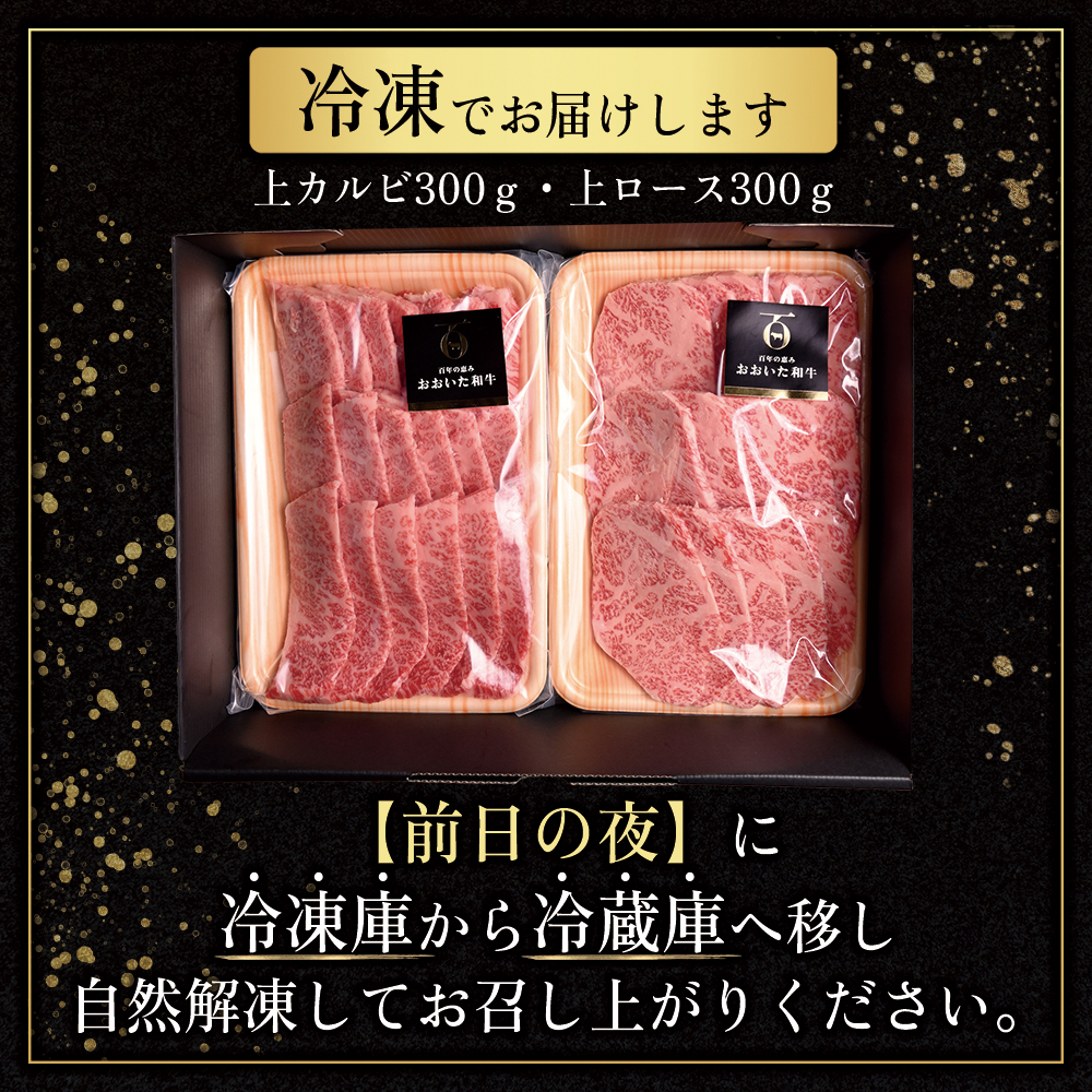 おおいた和牛食べ比べセットA【合計600ｇ】 G13