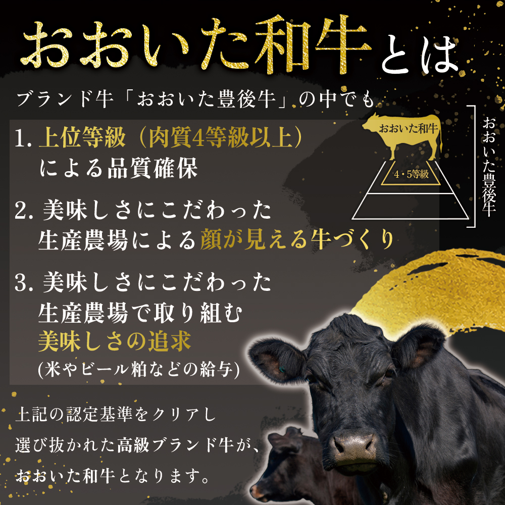 おおいた和牛カルビ・ロース焼肉セット【合計500g】 G23