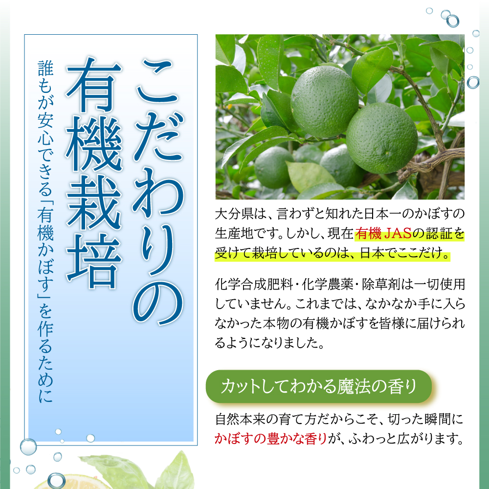 カットしてわかる魔法の香り「有機栽培かぼす」 10㎏箱入り K3-S