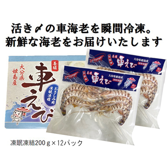 生食用凍眠凍結姫島車えび(養殖)約200ｇ(6尾～10尾)×12パック　A6
