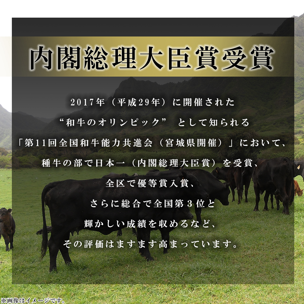 訳あり！【数量限定】おおいた豊後牛しゃぶしゃぶすき焼き500gとおおいた豊後牛切り落とし1.2kgセット　D26
