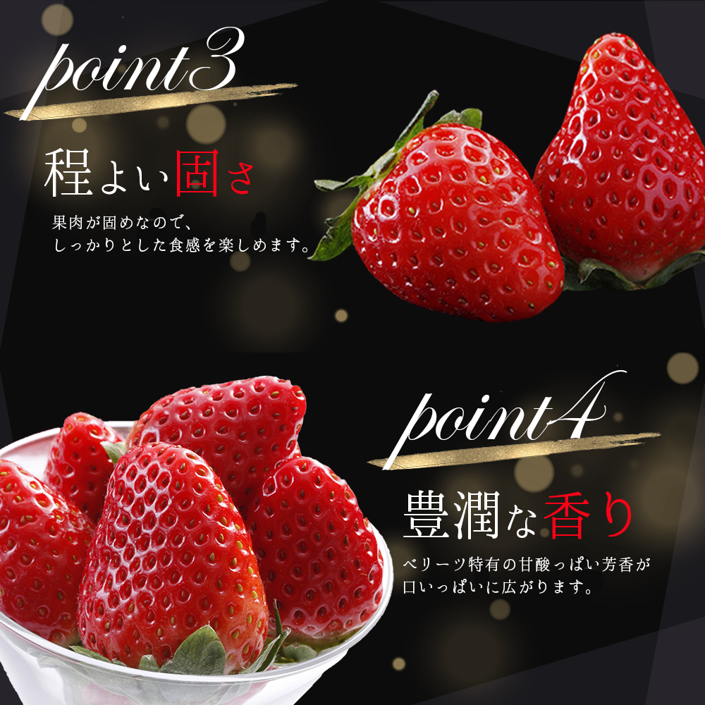 大分県産 ベリーツ　約270g×2パック J1