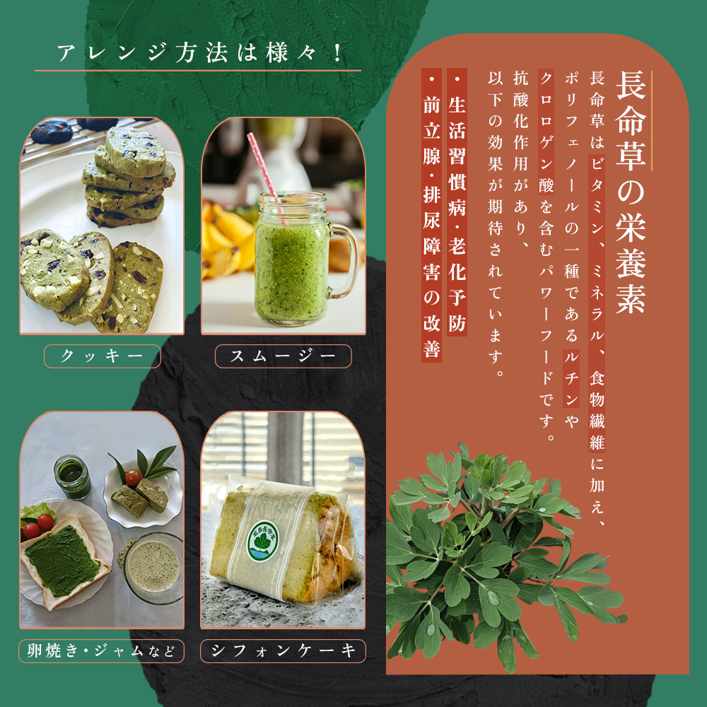 姫島村産 長命草 ペースト 1箱(30袋入り)  P1