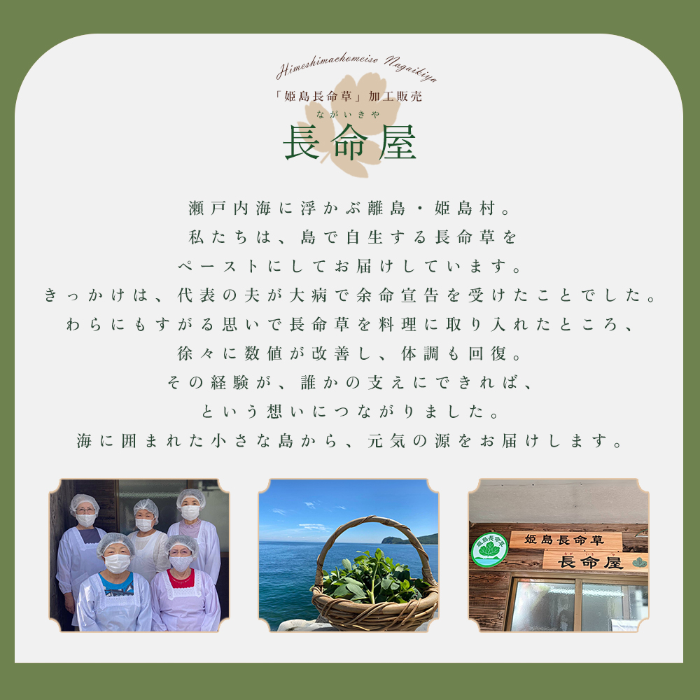 姫島村産 長命草使用 シフォンケーキ 10個 P5