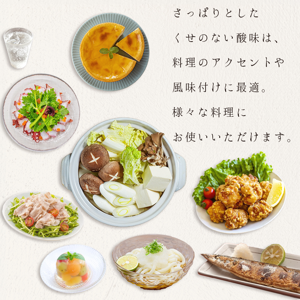 無添加 かぼす 果汁 大分県産 100％ カボス (5ml×10袋)  E1