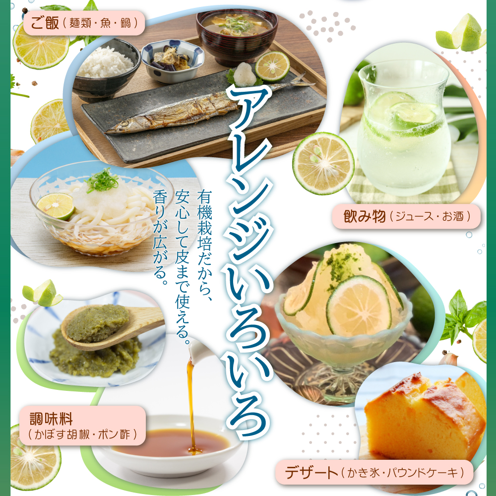 カットしてわかる魔法の香り「有機栽培かぼす」 10㎏箱入り K3-S