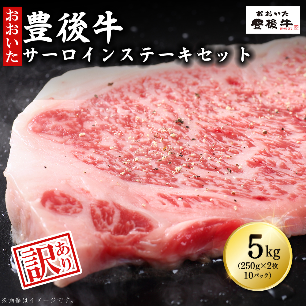 訳あり！豊後牛サーロインステーキセット5kg(250g 2枚入り×10p)　D10