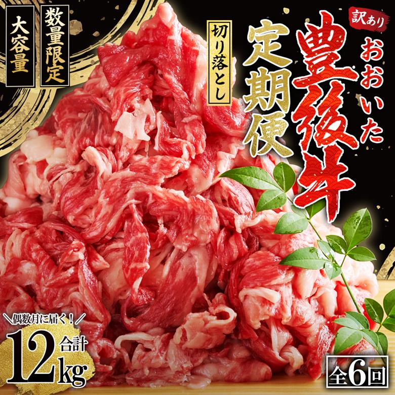 【定期便】偶数月に届く！おおいた豊後牛 切り落とし2kg(500g×4パック)×6回　D27-S