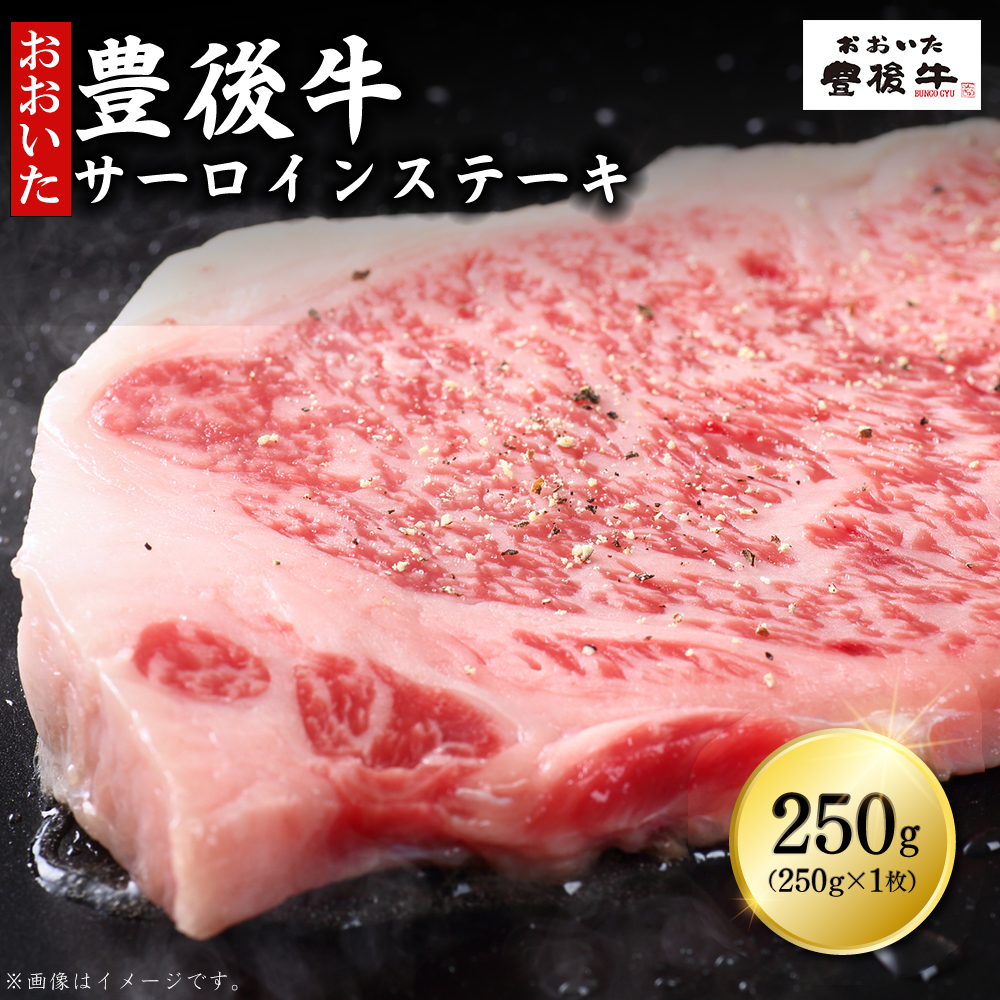 豊後牛サーロインステーキ 250g(250g×1枚)　D5