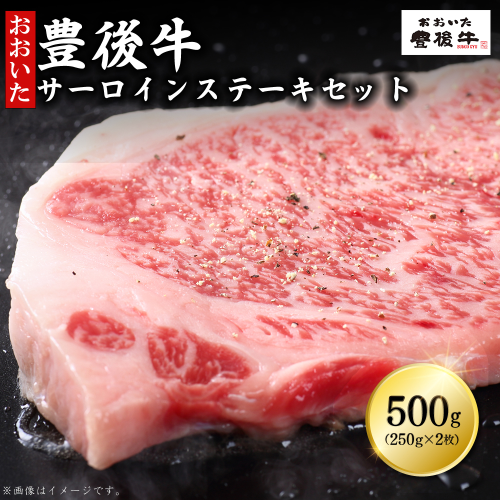 豊後牛サーロインステーキセット500g(250g×2枚)　D6-S