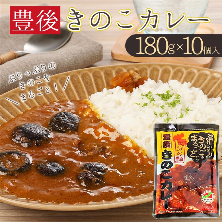 豊後きのこカレー 10個セット F6