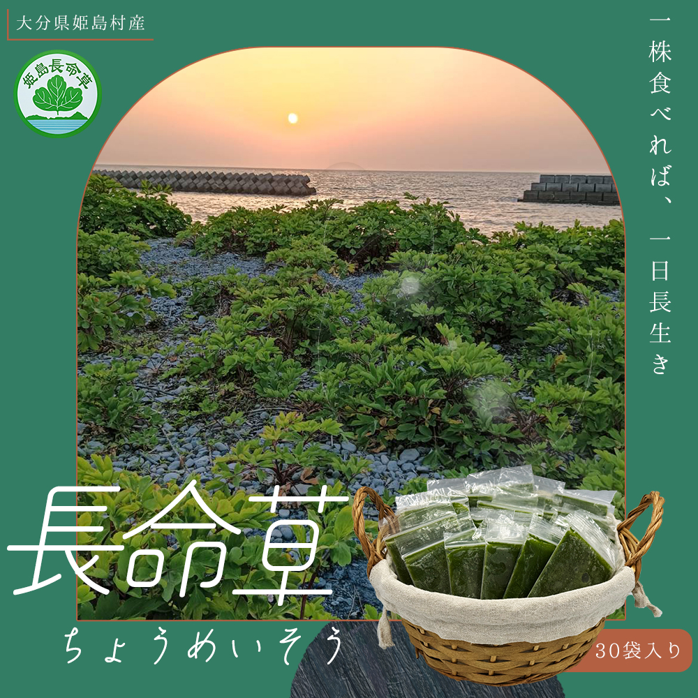 姫島村産 長命草 ペースト 1箱(30袋入り)  P1