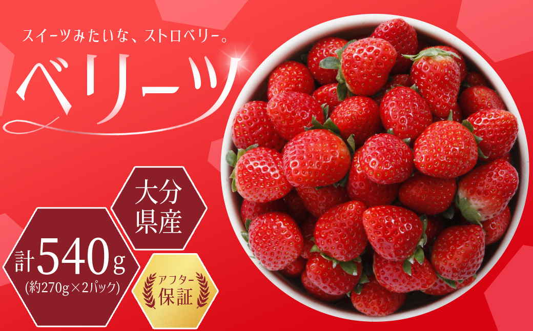 大分県産 ベリーツ　約270g×2パック J1