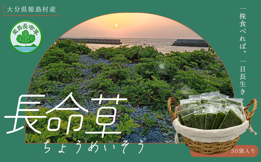 姫島村産 長命草 ペースト 1箱(30袋入り)  P1