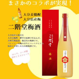 【数量限定】二階堂 梅酒 (化粧箱入り) AG42