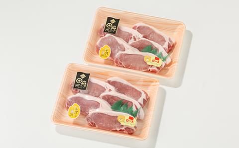 【日出ポーク】豚ロース100g×10枚【配送不可地域：離島】