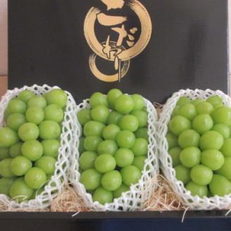 【先行受付・2024年8月上旬発送開始】大粒であまいシャインマスカット(700g以上×3房)【配送不可地域：離島】