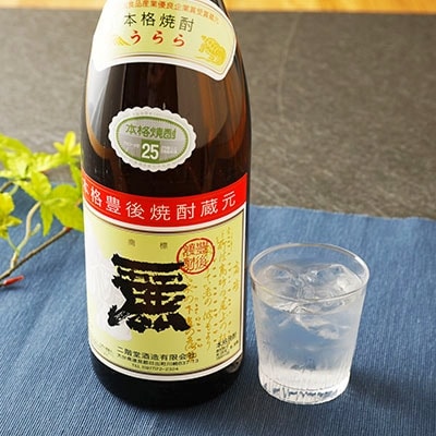 大分むぎ焼酎 二階堂25度・麗25度2本セット(1800ml)AG22