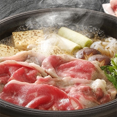 豊後牛肩ロースすき焼き(700g)【配送不可地域：離島】