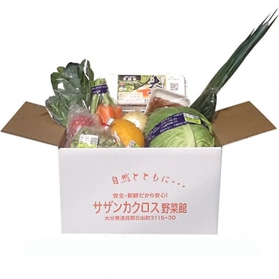 産地直送!旬の朝採れ野菜のセット(9～13種程度)【配送不可地域：離島】