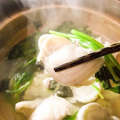 とらふぐ 刺身と鍋 セット (2人前)【大分水産】刺身とアラやぶつ切り・焼きひれなどのフルコース【配送不可地域：離島】