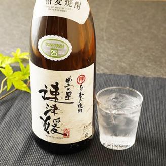 大分むぎ焼酎 二階堂25度・速津媛25度2本セット(1800ml)AG21