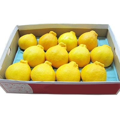 【1月より発送】あまい柑橘!不知火 3kg(7・8玉または10・12玉)段ボール箱入り