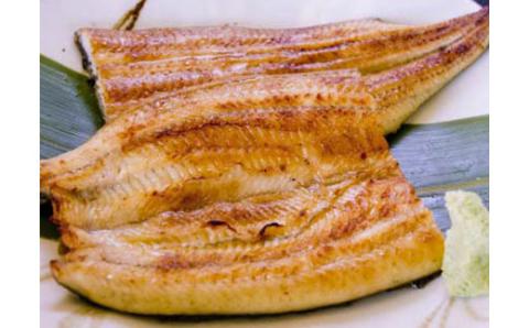 日出産汽水うなぎ白焼きセット(カット)【配送不可地域：離島】