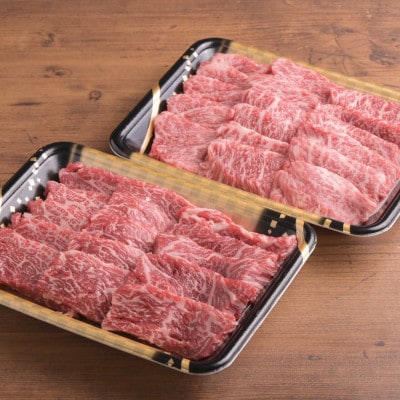 おおいた和牛カルビ・ロース焼肉セット【合計500g】【配送不可地域：離島】