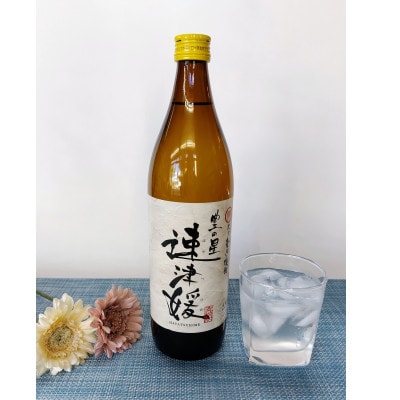 大分むぎ焼酎　二階堂速津媛20度(900ml)4本セット